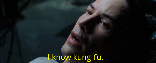 imagem animada do Neo do filme Matrix dizendo que sabe kung-fu logo após conhecimento ser uploadeado pro seu cérebro